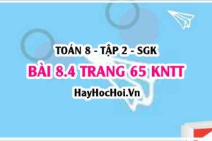 Bài 8.4 trang 65 Toán 8 Tập 2 Kết nối tri thức: Xác suất vòng quay may mắn